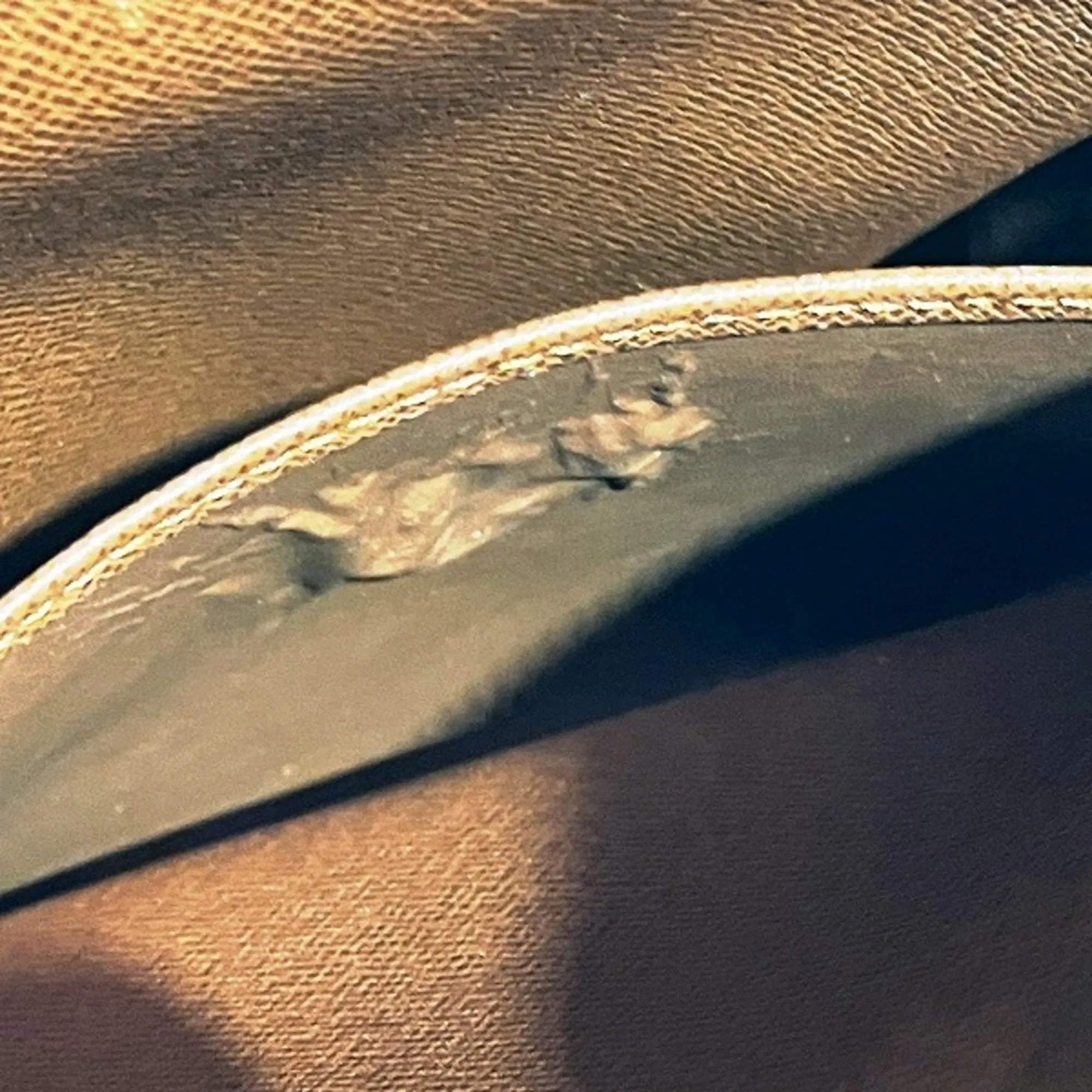 LOUIS VUITTON Amazon Shoulder Bag